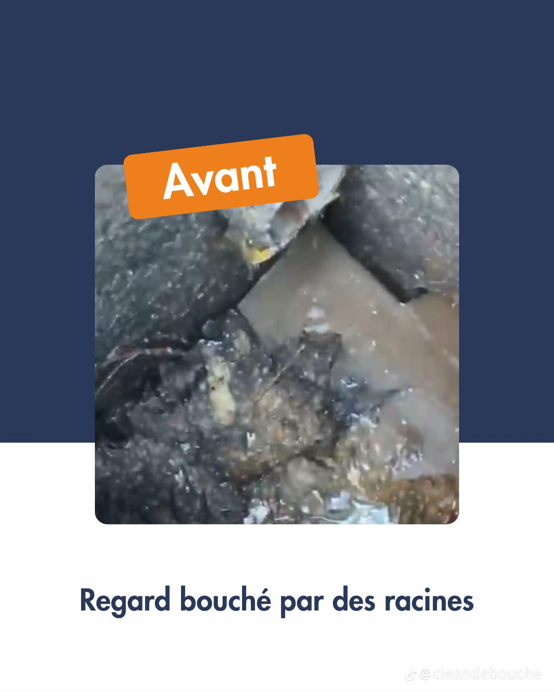 Solution Concentrée pour EVIERS, WC et DOUCHES Bouchées