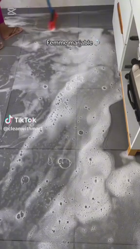 AURORA - Balai Serpillère avec Vaporisateur Intégré